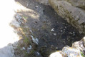 Ancien bassin Ancien bassin