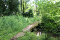 Ancien pont de pierres Ancien pont de pierres