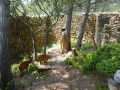 Ancienne bergerie