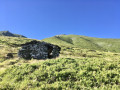 Ancienne cabane en pierre du berger