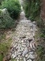 Ancienne Calade
