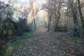 Plateforme de l'ancienne voie ferrée Jonzac-Archiac