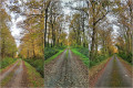 Ancienne voie ferrée près de Fourgerolles