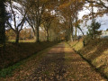 Un petit tour sur les chemins de Treillières et la Paquelais