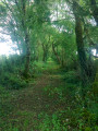 Ancienne voie romaine Ancienne voie romaine