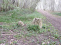 Anciennes bornes royales
