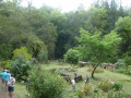 Anciens Thermes