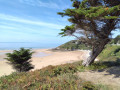 Boucle de Carteret par les Mielles, le sentier des douaniers et la plage
