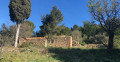 Ancienne maison de pêcheur d'étang.