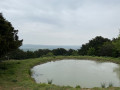 Fantastic view on a pond.