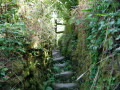 Another form of stile along this route