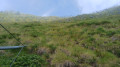 Ant&eacute;cime du mont Meab&eacute;