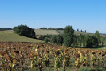 Aperçu du village