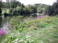 Approaching Goring