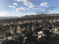 Sur les sentiers des Monts d'Arrée par An Eured Veign