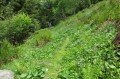 Après la descente, le sentier de niveau