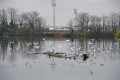 Retenue du barrage de Cusset