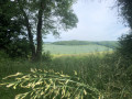 Dans les collines de Bray-et-Lû