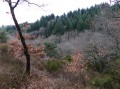 Après le village de La Goutarende