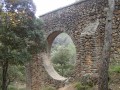 Boucle au départ de Malaucène