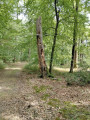 Arbre &agrave; pics en lisi&egrave;re