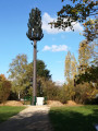 Arbre Antenne
