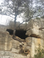 Arbre de l'extrème