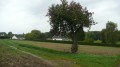 En Forêt de l'Isle-Adam autour de l'Abbaye du Val