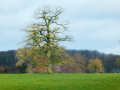 Grand tour de l'étang de Virelles