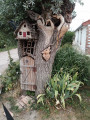 Arbre pleureur