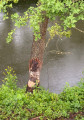 Boucle sur les bords de la Basse-Zorn
