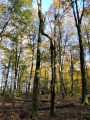 Les Framboisiers de la Framboisière