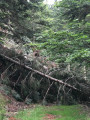 Boucle Payolle - Col d'Aspin