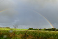Arc en ciel
