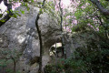 La deuxième arche.