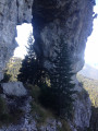 Arche à découvrir