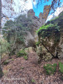 Arche naturelle