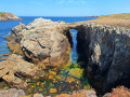 Arche naturelle