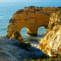 Arche Arche
