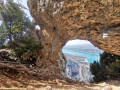 Arche Arche