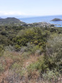 Armelrando