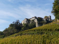 arrivée à Château Chalon