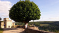 Château médiéval de la Madeleine et vue sur la vallée de Chevreuse Château médiéval de la Madeleine et vue sur la vallée de Chevreuse