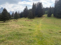 Arriv&eacute;e au col des Boeufs