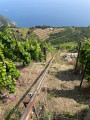 Arrivée dans les vignes avec monorail