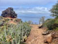 Du ciel à la mer : PR®-TF 10 de Cruz Del Carmen vers Punta Del Hidalgo