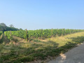 Arrivée fin de la promenade