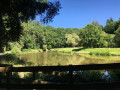 Arrivée sur l'étang de la Bretonnière