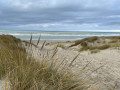 Arrivée sur la plage