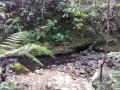 Arrivée sur la rivière Arrivée sur la rivière